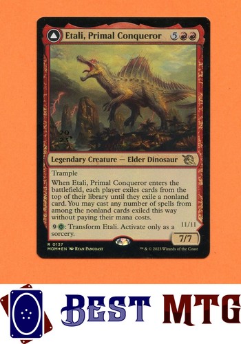 Magic the gathering - the, mtg