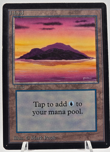 Carte magic the gathering - magic,